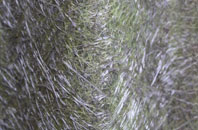 Burslem fibreglass roof work